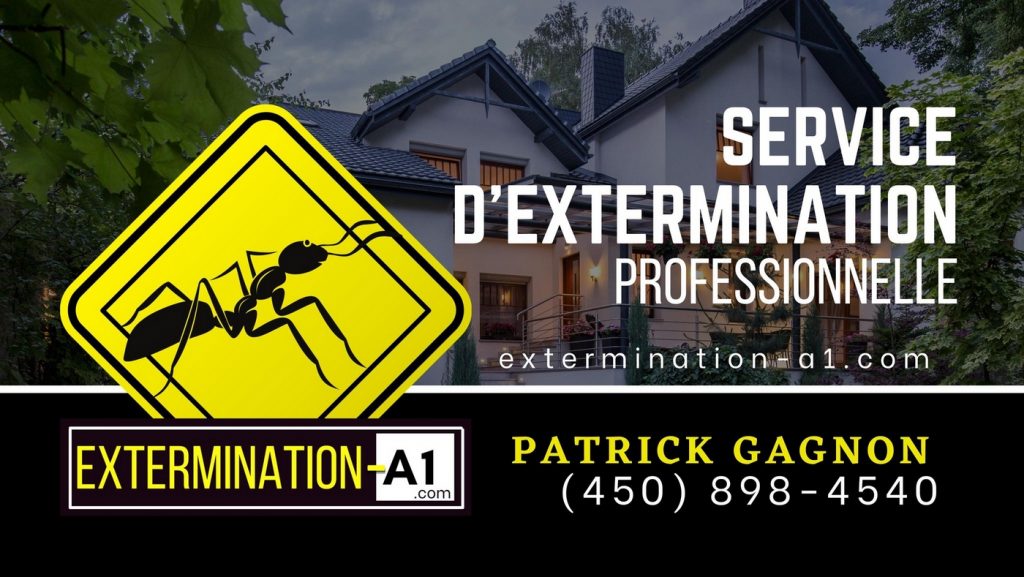 Extermination A1 – Exterminateur à Joliette Et Les Environs ...